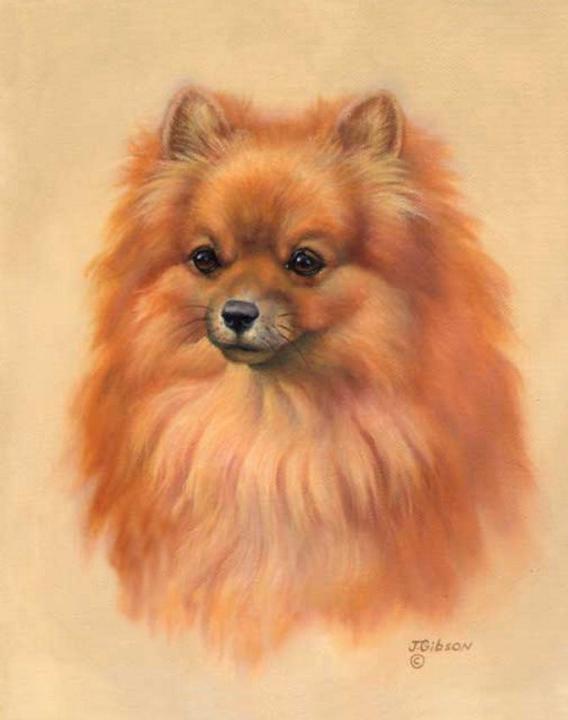Lewis Grace