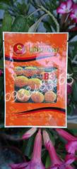 Quốc an Quốc an