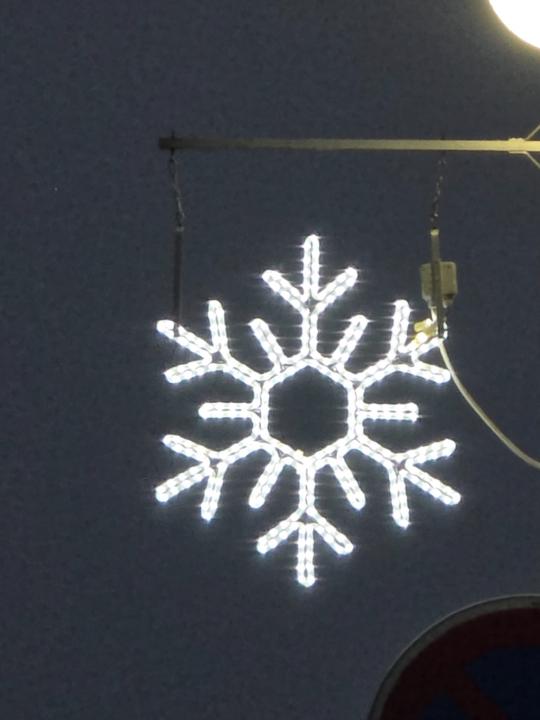 Radka Linksfeilerová