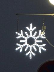 Radka Linksfeilerová