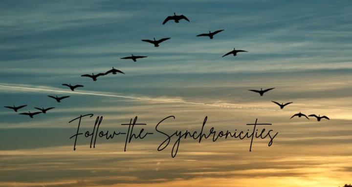 Follow the Synchronicities