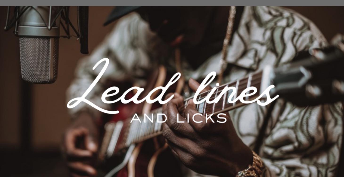 Section 4: Licks & Lead Lines