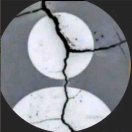 زايد القحطاني