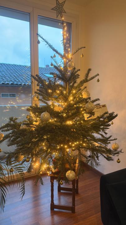 Un beau Noël à vous tous et toutes!