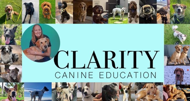 Clarity Canine Education