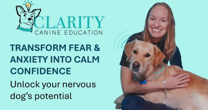 Clarity Canine Education