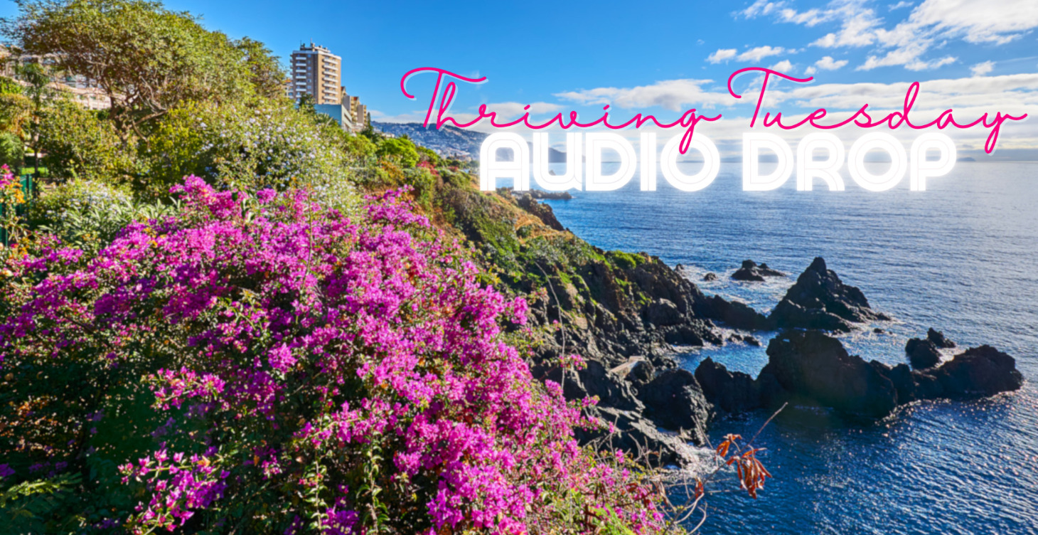 Thriving Tuesday Audio Drop