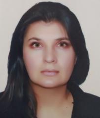 Maria del Pilar Arancibia