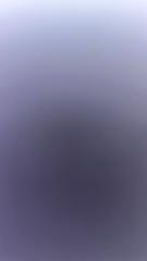 أصيل زيلعي