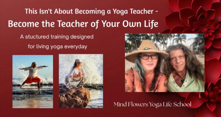 The School of Yoga Lifestyle