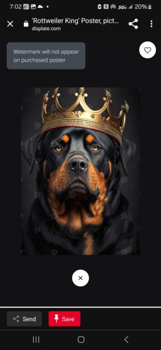 ☆Master your  lens☆