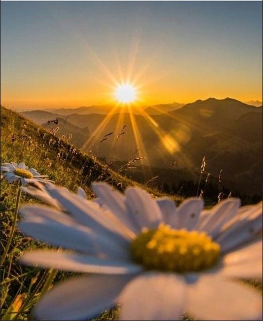 Pascale Bassil-Fares