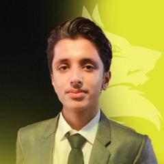 Huzaifa Noor