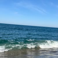 Jennifer Sollenberger