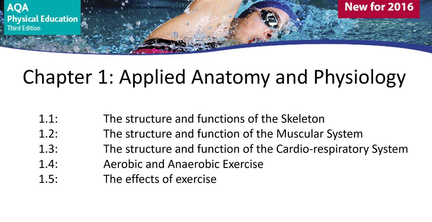 Chapter 1 Anatomy and Physiology PPT Lessons