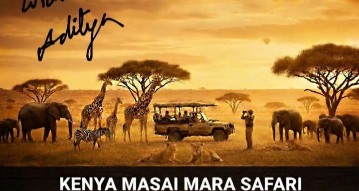 African Safari & Tourism