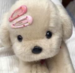 Mar T