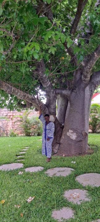 Tosin Awofadeju