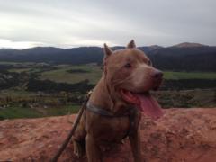 Elisa Lopez