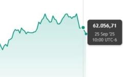 Said Magaña Jauregui