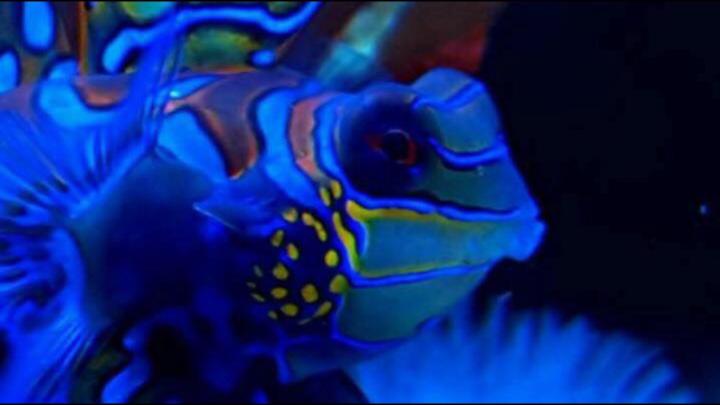 Francisco Jose Martinez Sanchez