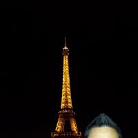 David Tong