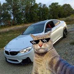 Sandro Sandro