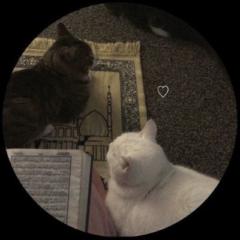 Mishi H