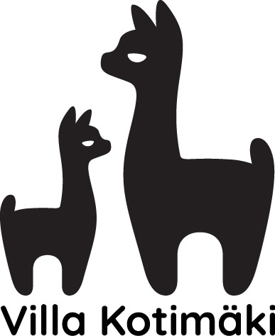 Anni Selesmaa-Määttä