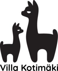 Anni Selesmaa-Määttä