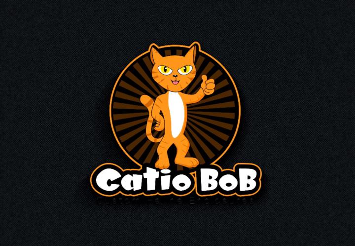 Robert-Catio BoB Johnston