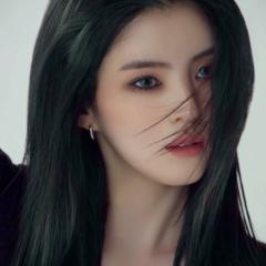 Emailfoxi Mailfoxipro