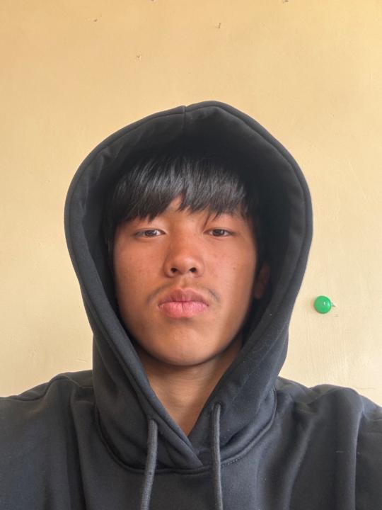 Нямсүрэн Пүрэвсүрэн