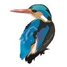 RealBird Inc.