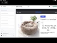 Alessandro Pettirossi