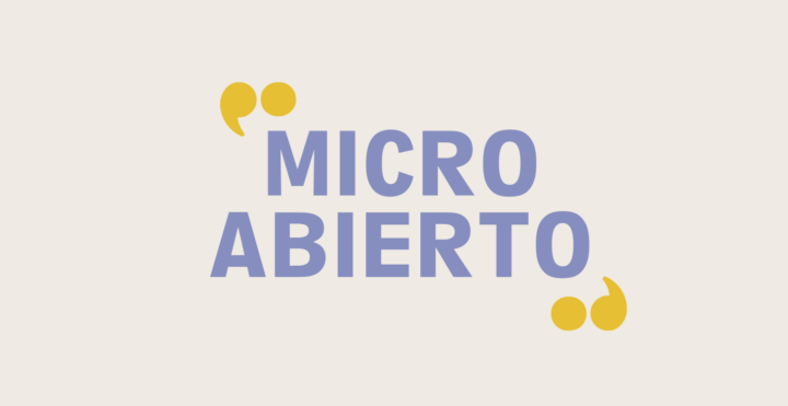 MICRO ABIERTO VERANIEGO