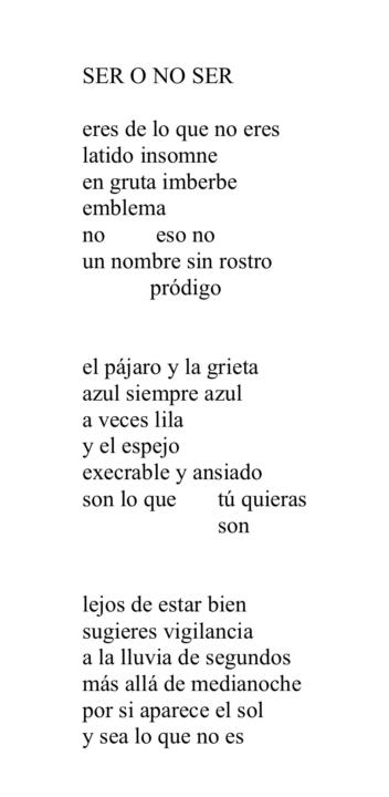 SER O NO SER