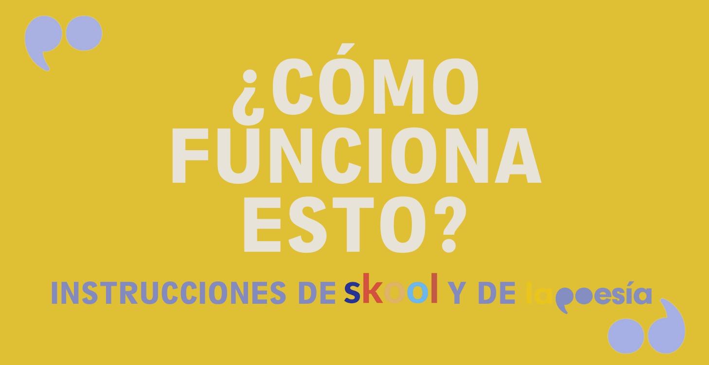 Funcionamiento de la plataforma Skool