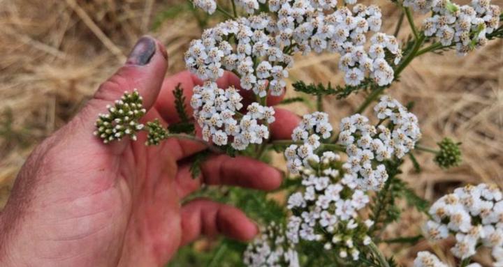 Biofeedback/mindful divination