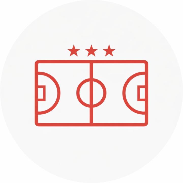 The Handball Pro Path