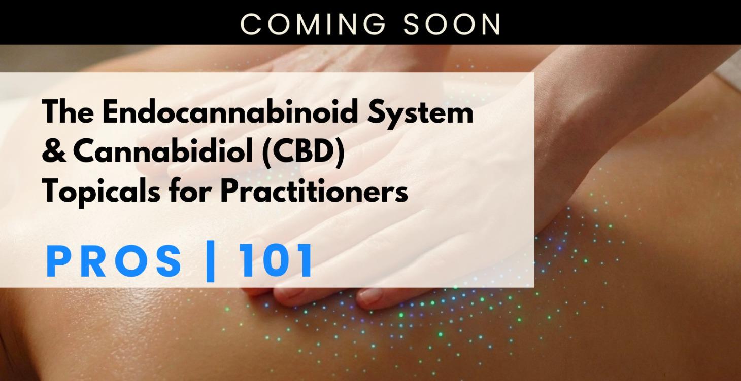 The ECS & CBD for Practitioners | Pros 101