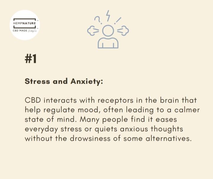 🫆Stress & Anxiety 