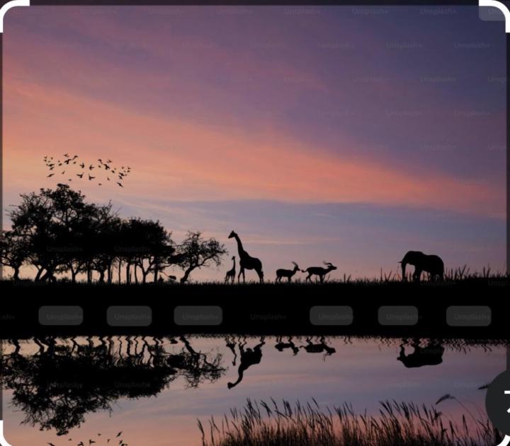 Elodie von Goumoëns