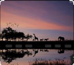 Elodie von Goumoëns