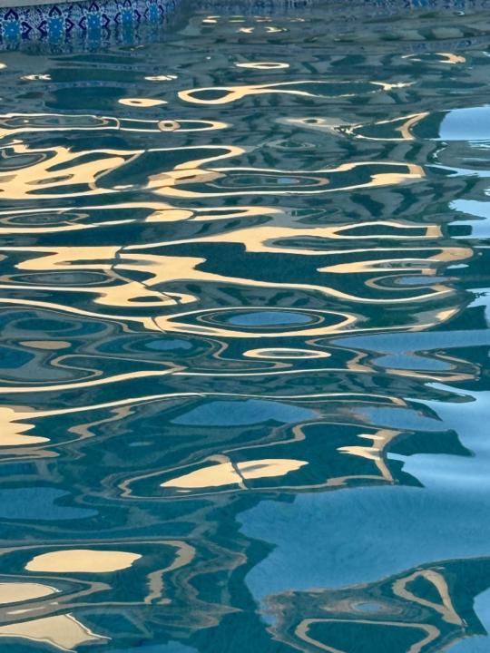 Elisabet Lillywhite