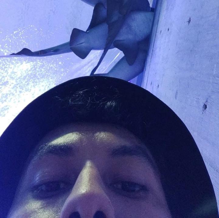 Octavio Estrada
