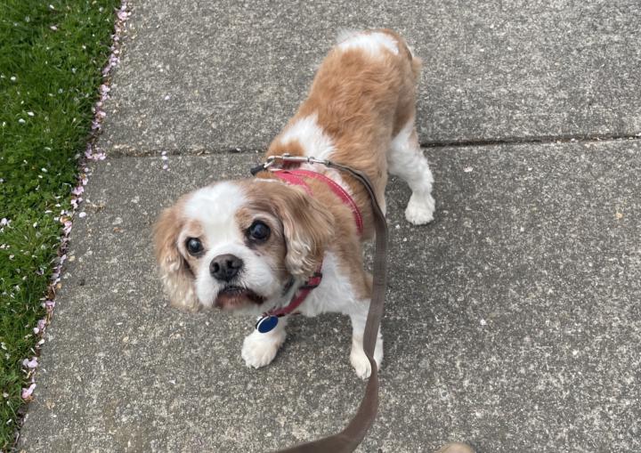Who runs with their best buddy!