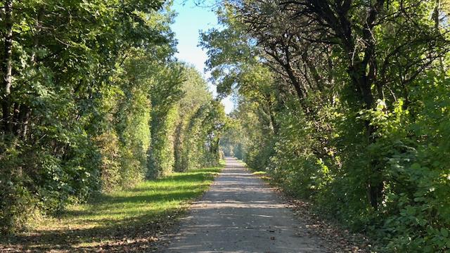 My running track in Bavaria