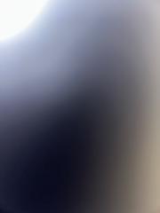 Melchi Luz