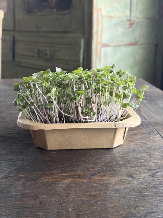 Grow Kits Instructions